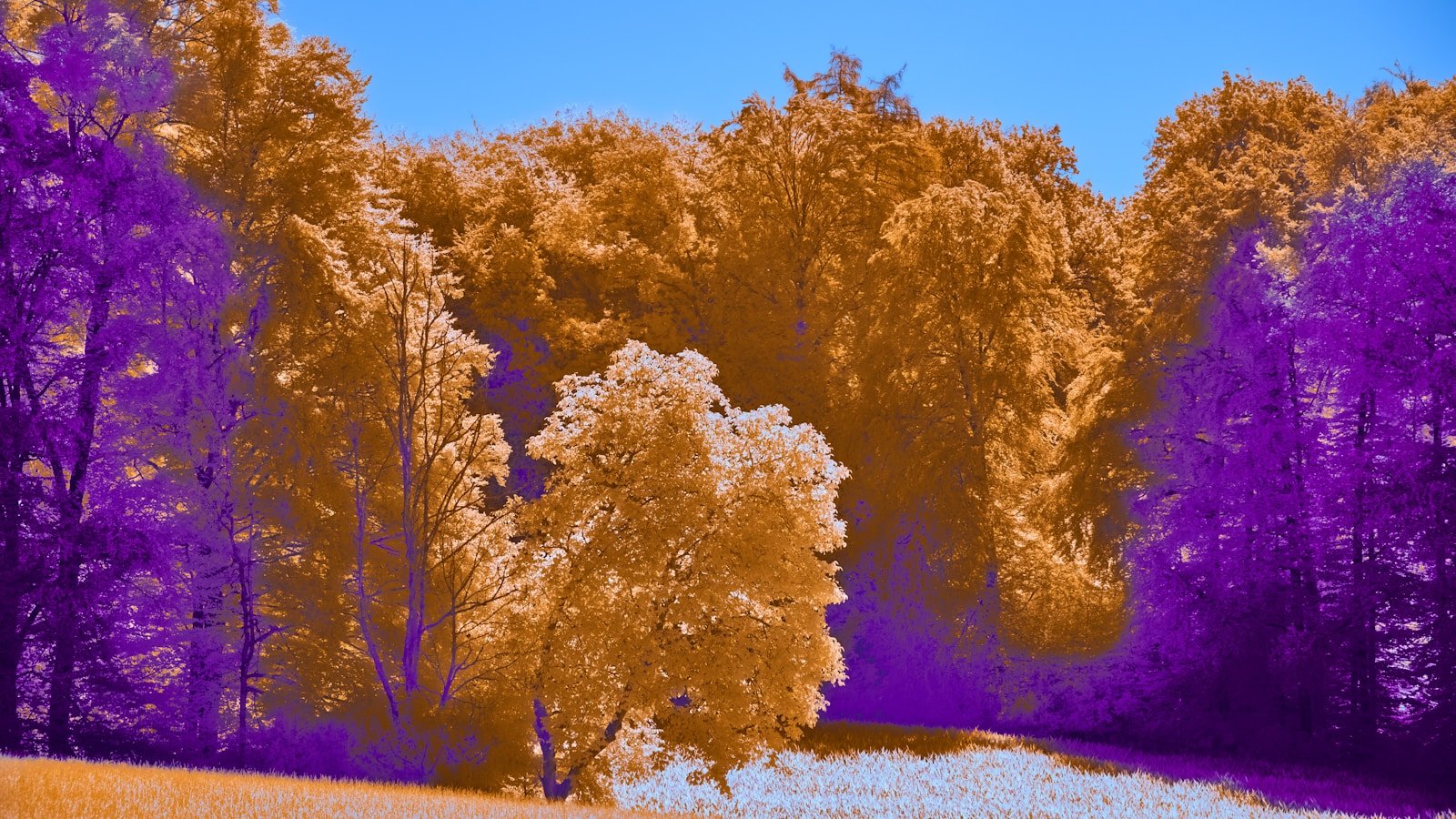 Comparison of image compression tools