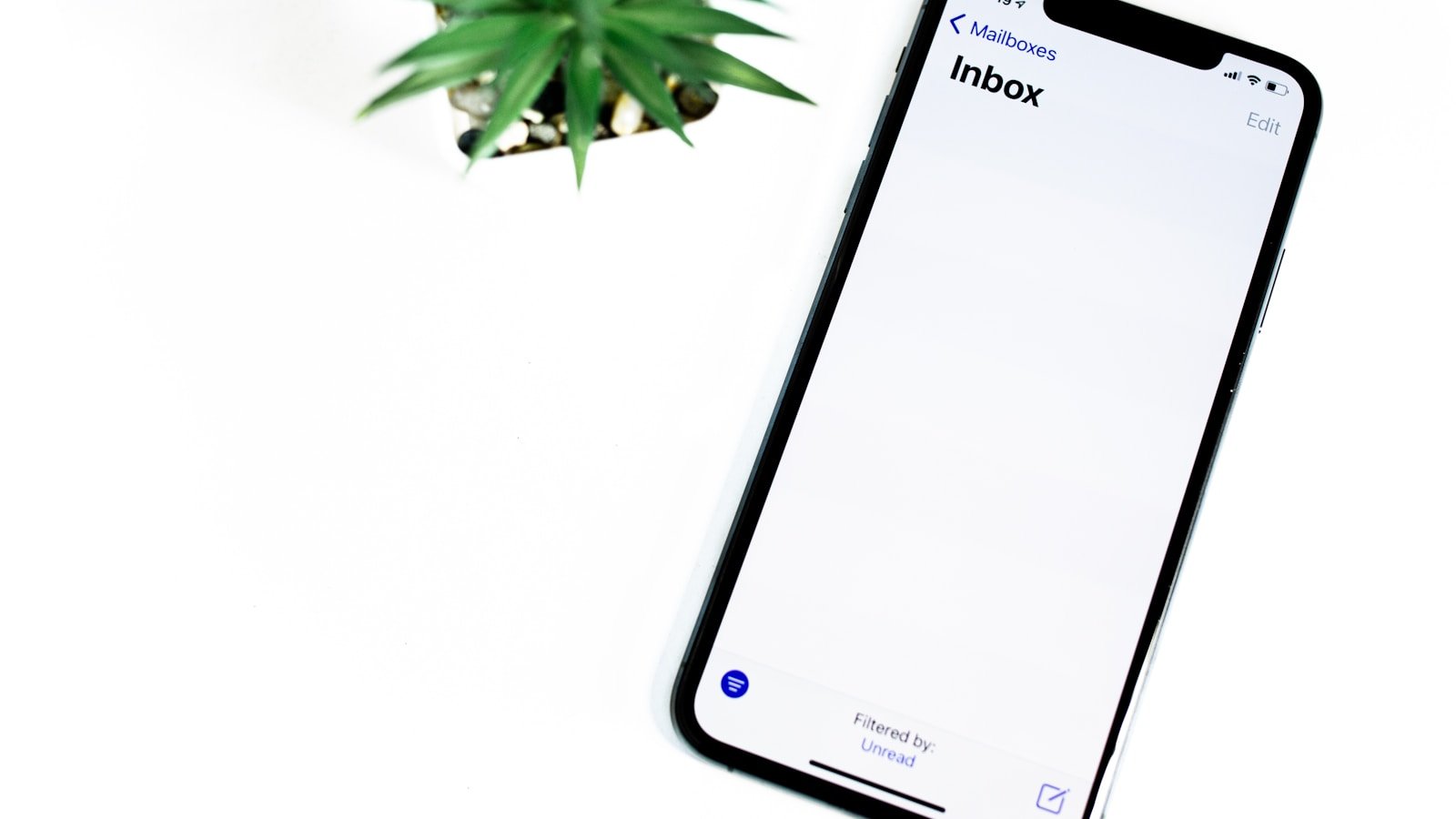 Email Image Sizes: Resize Photos for Newsletters and Campaigns